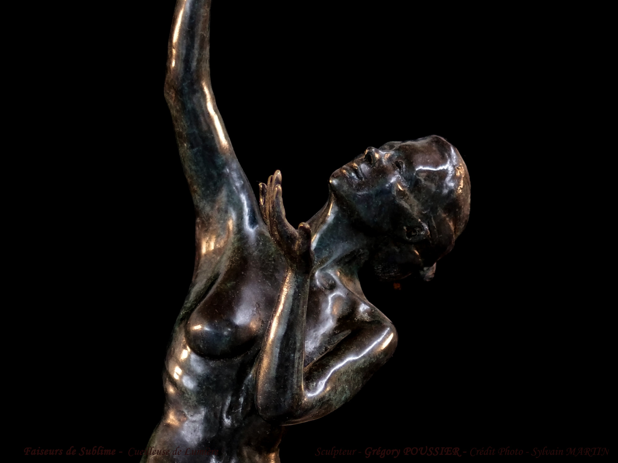 cueilleuse de lumiere